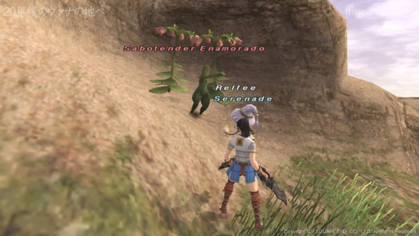 サボテンダーのNM「Sabotender Enamorado」