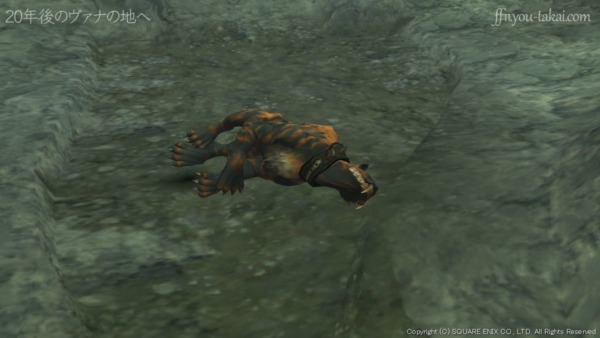 あれは北方のラゾア大陸で見かけられる種類のはず