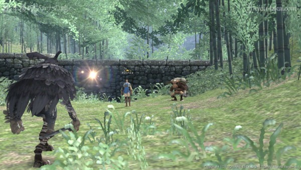 ヤグードまで連れてきた！