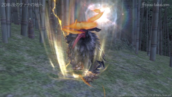 御主、一体…！？