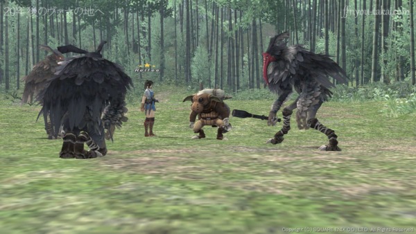 オマエとオマエ、どっち、勝った！？