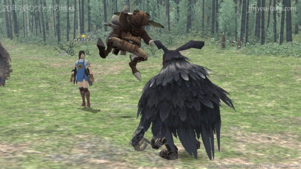 やったな～！ニー・アキュ！