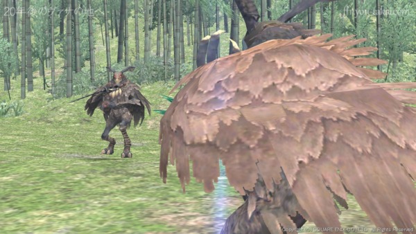 我が声、届かず…