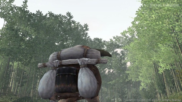 空を見上げるインカントリックス