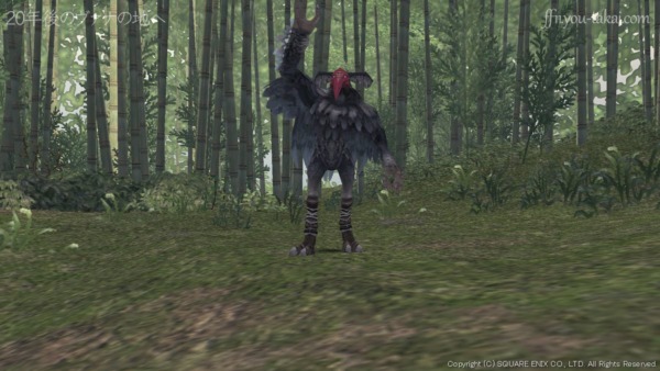 しかし良く見てみるとフィックではなくニー・アキュだった