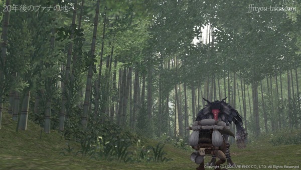 兄のインカントリックスと、弟のニー・アキュ